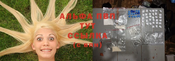 трава Арсеньев